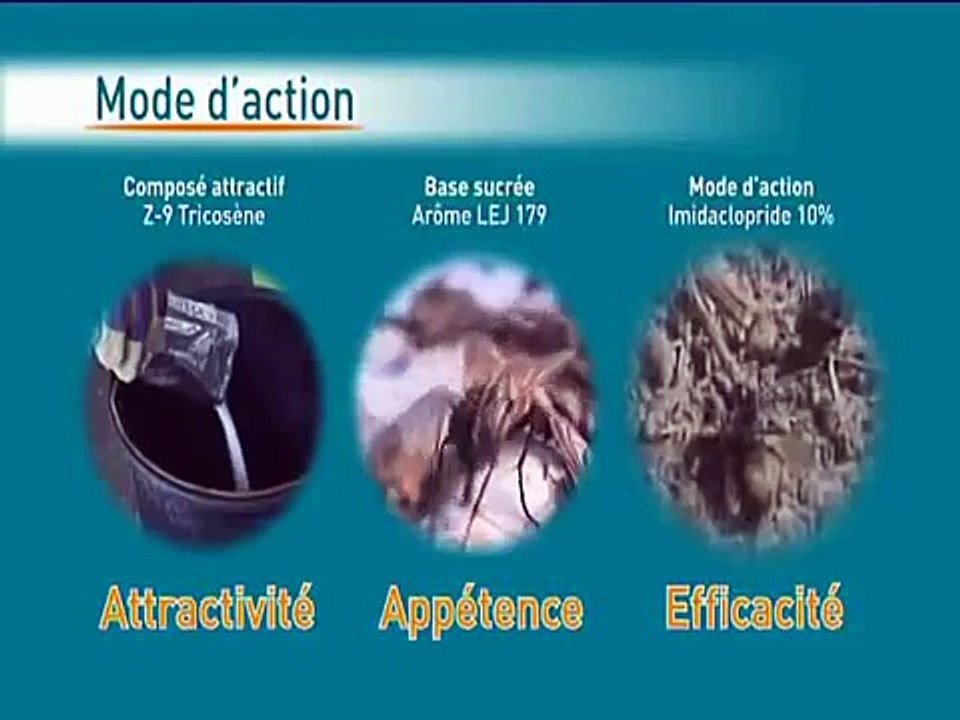 Quick bayt et Baycidal mode d'application