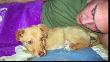 Marine is Reunited With Puppy He Saved While in Afghanistan. Please share.
