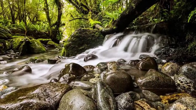 Over the Rainbow / What a wonderful World - IZ