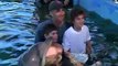 Experience Animal Life at Dolphin Encounters, a Bahamas Tourist Attraction on a Tropical Island
