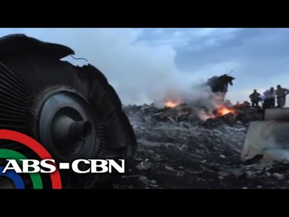 Ukranian rebels shot down MH17 by mistake?