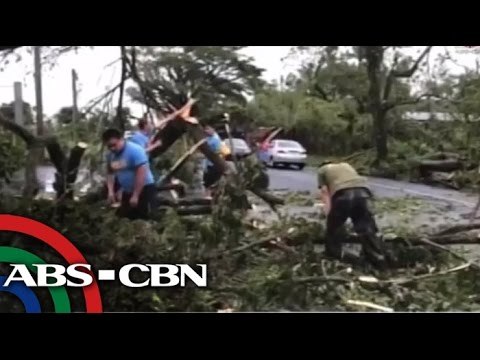 Glenda-hit in Albay starts clearing operations