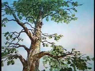 Winnie the Pooh - Little Black Rain Cloud (Swedish)