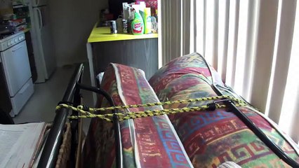 Kittens being kittens!