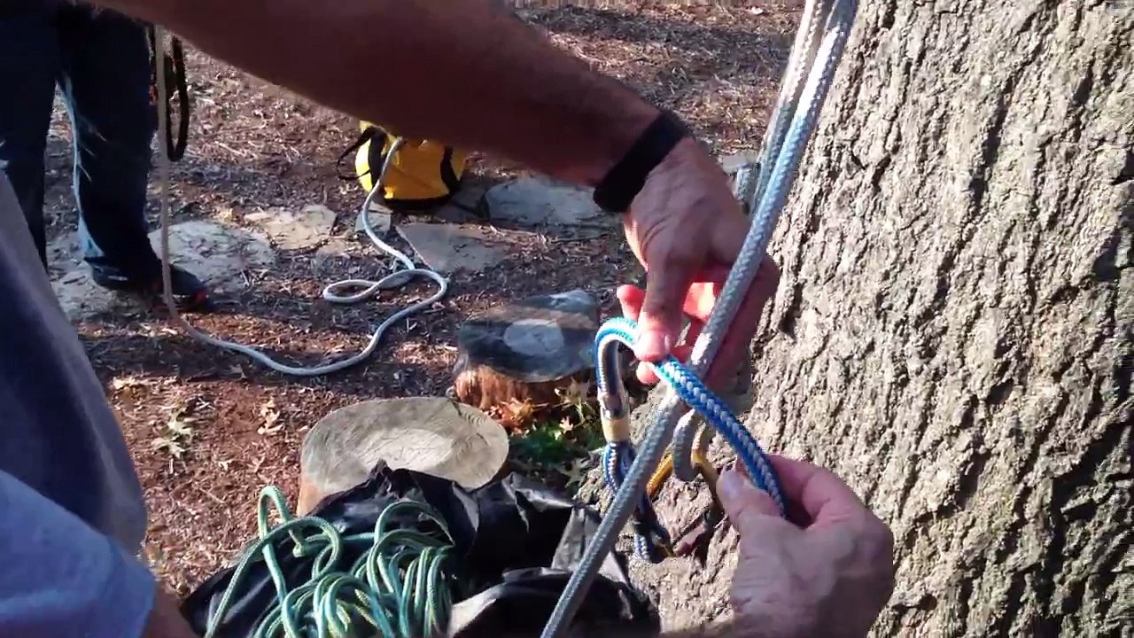 Tree Climbing Knots - Blake's Hitch on a Split Tail