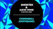 Showtek & Justin Prime feat Matthew Koma - Cannonball (Earthquake)