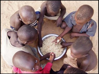 Unicef Organization: The Choice Is Yours