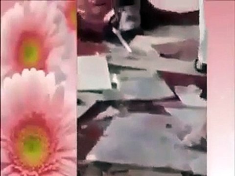 Suicide Bomb Blast In Saudi Arabia letest video