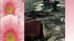 سعودی عرب کی مشرقی صوبہ میں حود کش دھماکہ کی ویڈیو منظر عام پر