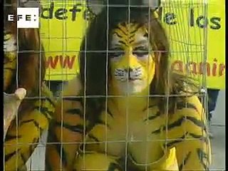 Desnudos y enjaulados en protesta contra el circo Ringling