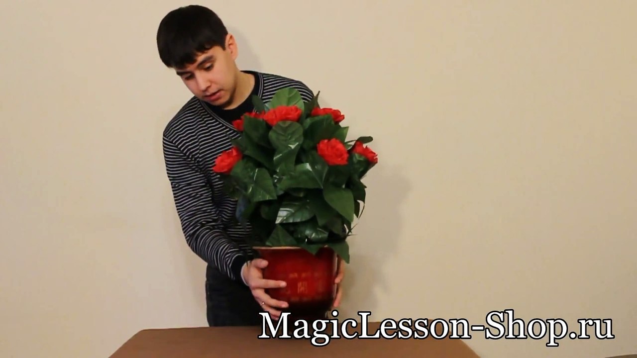 Фокус - Расцветающая на глазах Роза (Обучение)