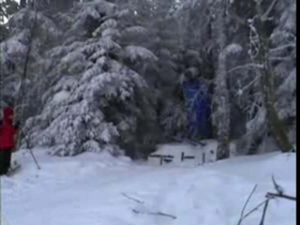 Saut à ski "vieux" tremplin