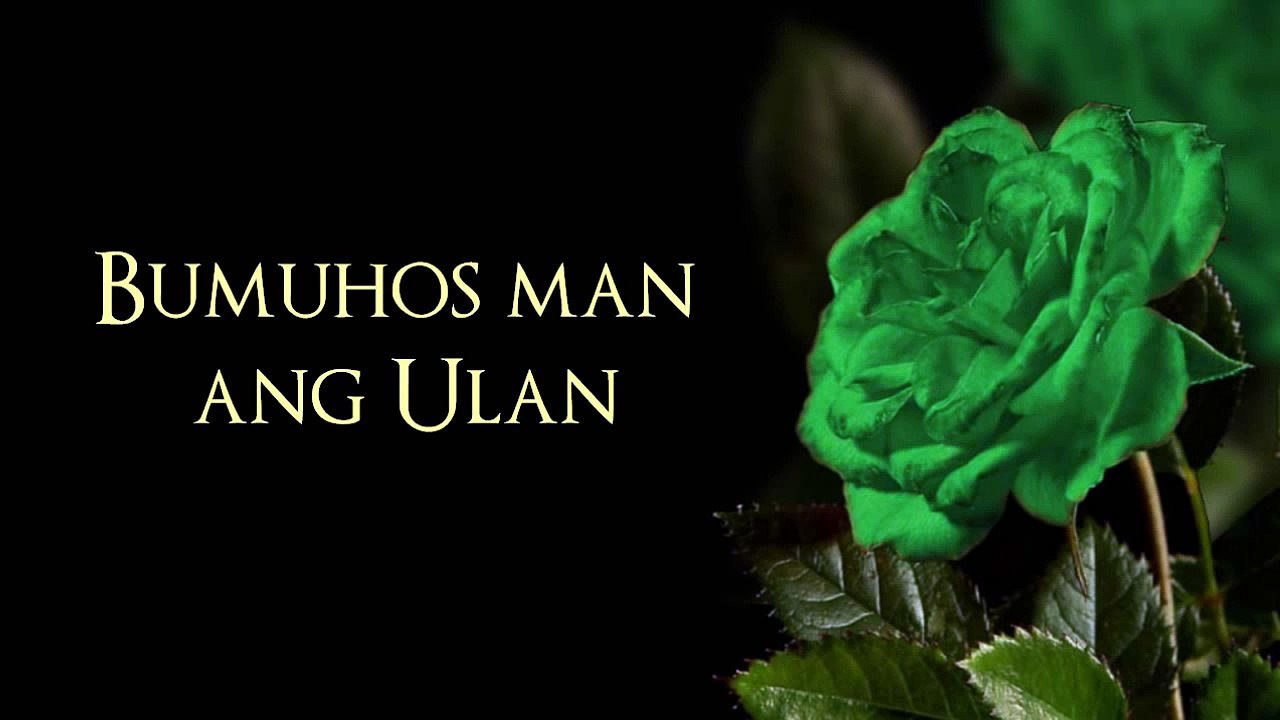 Bumuhos Man Ang Ulan - Jericho Rosales [Green Rose Theme Song]