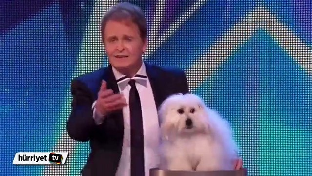 Britain's Got Talent yarışmasında Konuşan köpek herkesi şaşkına çevirdi!