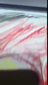 Columbia Pictures Television Logo History *CENTRALDATE*