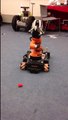 Soft Robotics Competition - Robotic Manipulator Demo