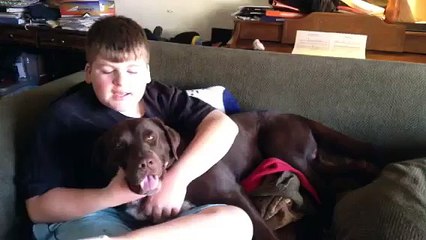 Making Out With Dogs