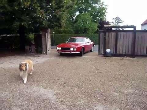 Ford Osi 20m TS 2.3 V6