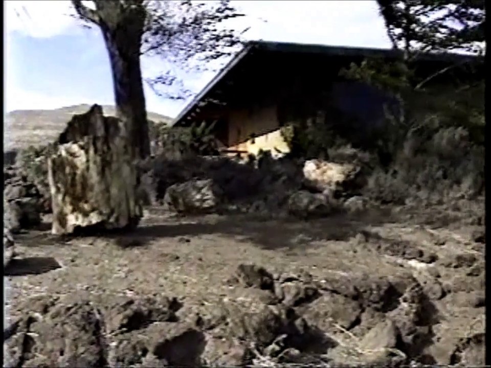 Ginkgo Petrified Forest - 19 Sep 92 - 1