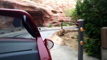 Radiator Springs Racers POV: Cars Land at Disney California Adventure - Full Ride #throughglass