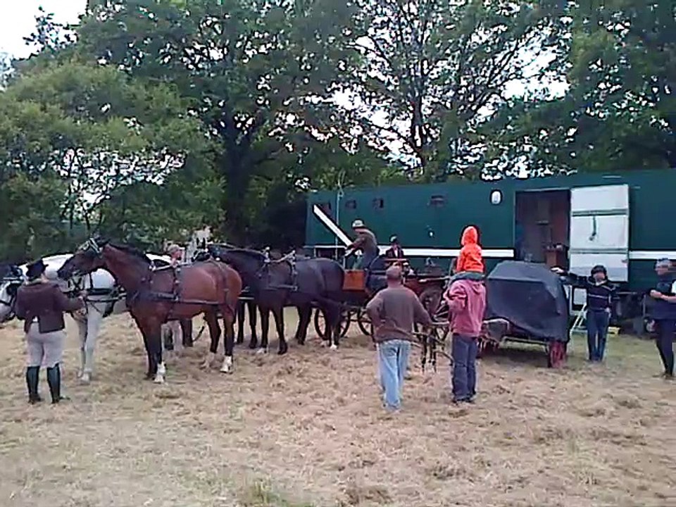 attelages 4 cheveaux