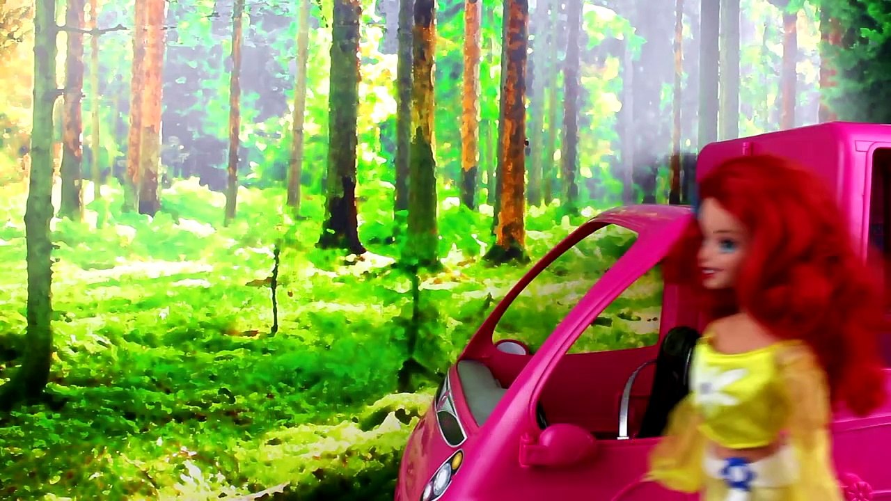 Frozen Elsa and Anna Kidnapped! Cinderella & Kristoff Save Elsa and