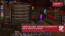 Conquista Organismo Geneticamente Não Modificado   World of Warcraft 1080p