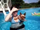 Yorkie puppy goes for a swim!