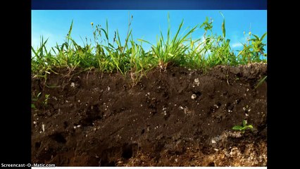 Soil Horizons