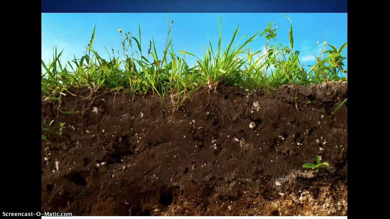 Soil Horizons