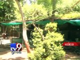 Vadodara zoo braces to protect inmates from heat - Tv9 Gujarati