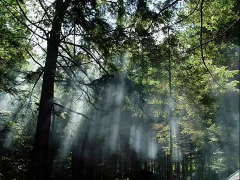 Guinevere ( Rick Wakeman )