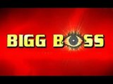 Celebs Who Should Be Part Of Bigg Boss 8 - BT