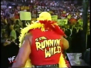 Triple H and Hogan after Backlash