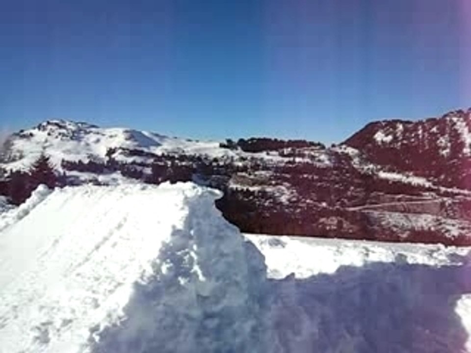 MVI_0775