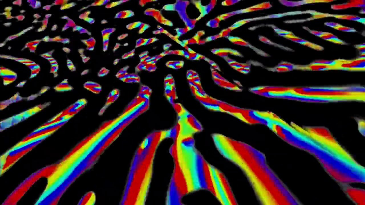 Toni for real - herzgeflüster part 3