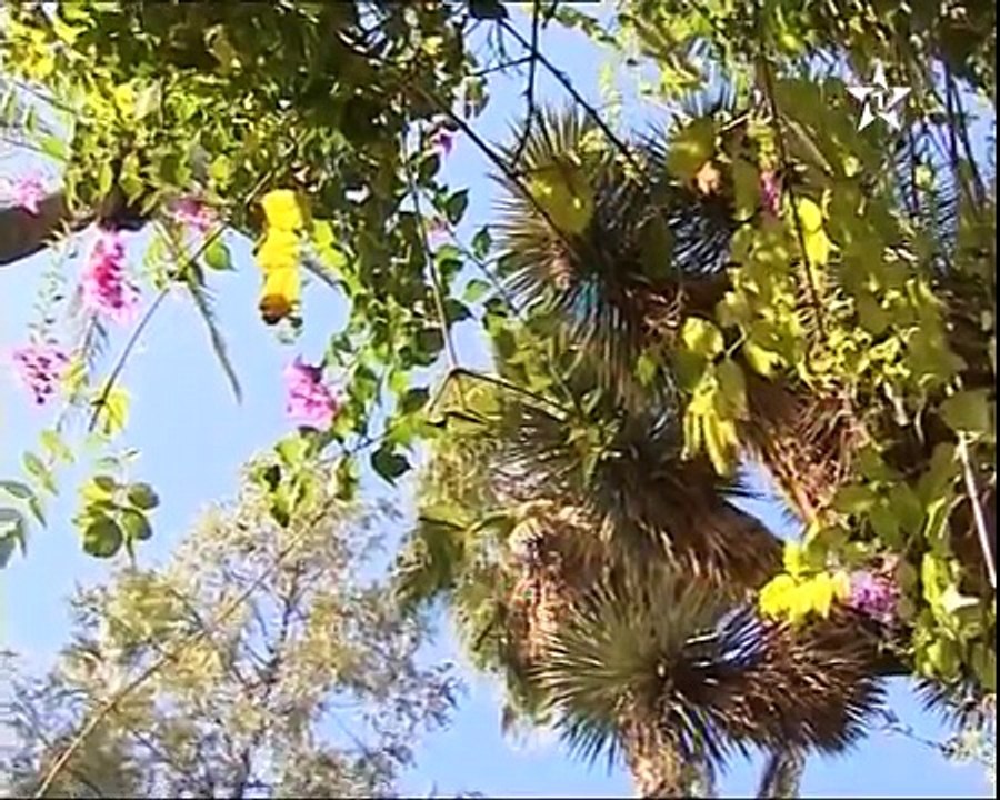 Lalla Salma et Madame Dominique Ouattara visitent le Jardin Majorelle à Marrakech