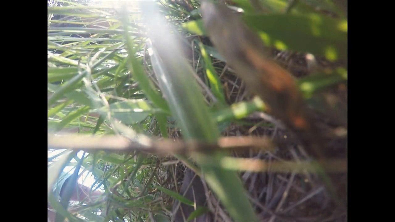 East coast & Asia trip