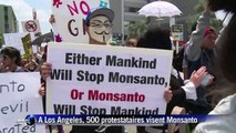Marche mondiale contre Monsanto: 500 personnes à Los Angeles