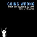 Armin van buuren and Dj Shah feat Chris jones - Going wrong