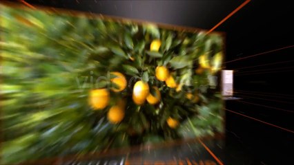 After Effects Project Files - Your Life, Your Color! New Design, FullHD. - VideoHive 2997296