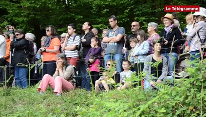 Sizun. L'émotion de Michel Paul pour sa dernière transhumance