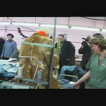 Программа Розыгрыш. Борис Моисеев