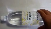 Traditional japanese food & Japanese sparkling lemon water wanted Japanese food importer
