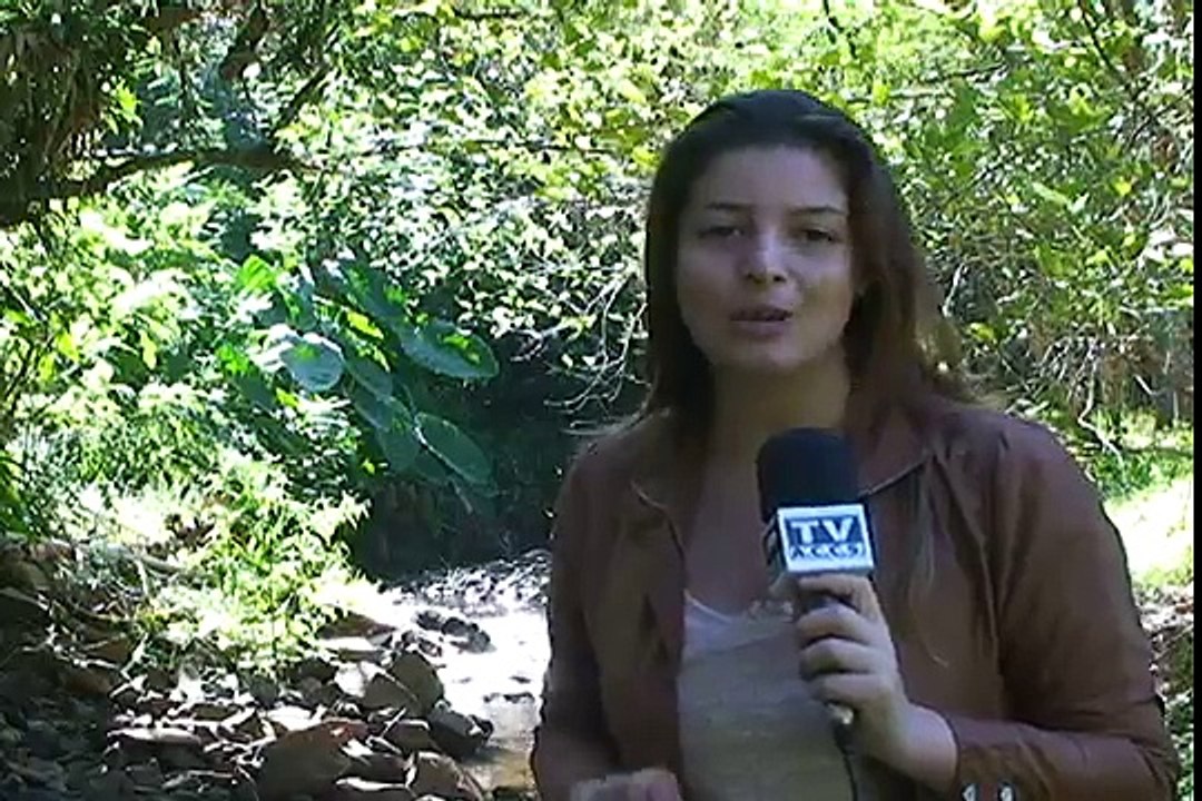 Suinocultura Hoje - 1ª Reportagem da Série (TV ACCS).avi