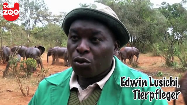 Ein Waisenhaus für Elefanten