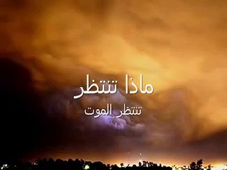 الخلافة الراشدة حزب التحرير تحرير الشعوب