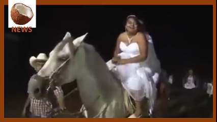 Esto les pasa por casarse en un caballo
