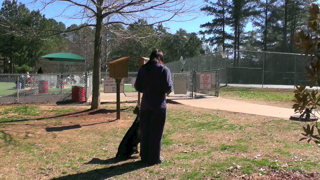 Max, Doberman, Board and Train, Day 11: Distraction Training Dog Parks, Off-Leash