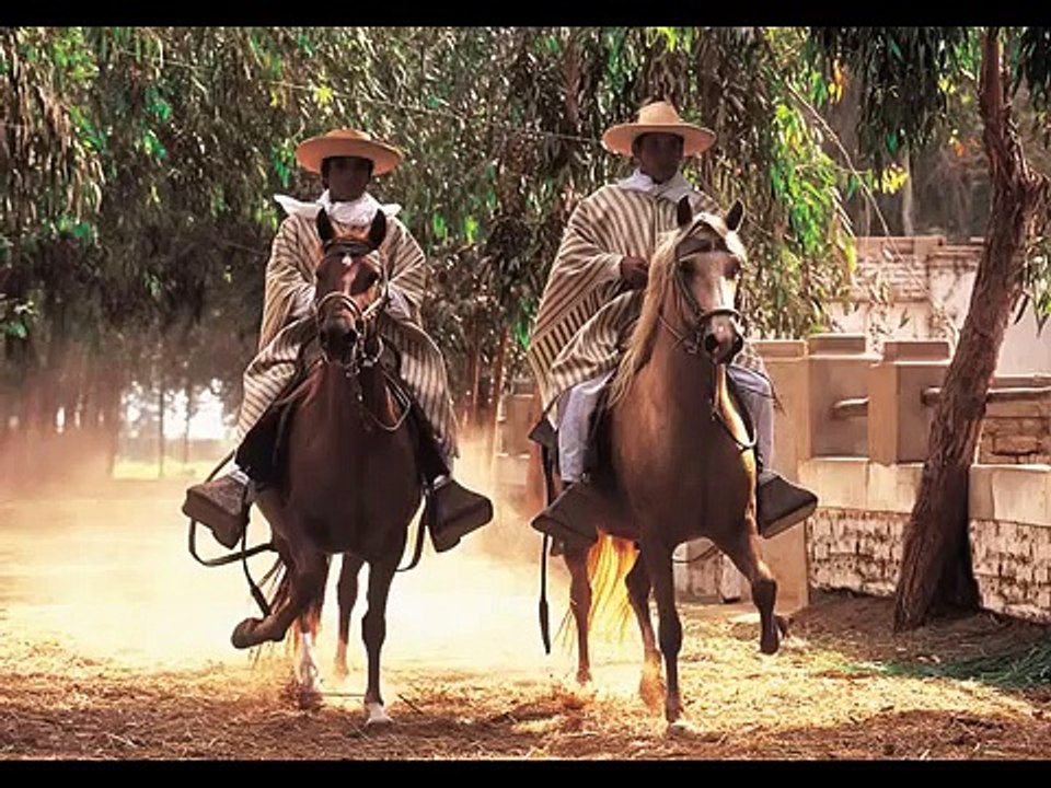 el galope de un caballo